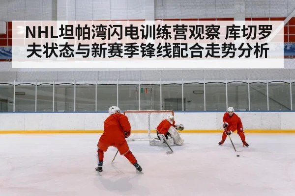 ice hockey team practice
