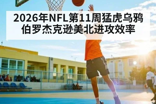 2026年NFL第11周猛虎乌鸦伯罗杰克逊美北进攻效率